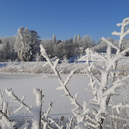 Orzechowy Dworek Nowy Dwór Gdański Bagian luar foto