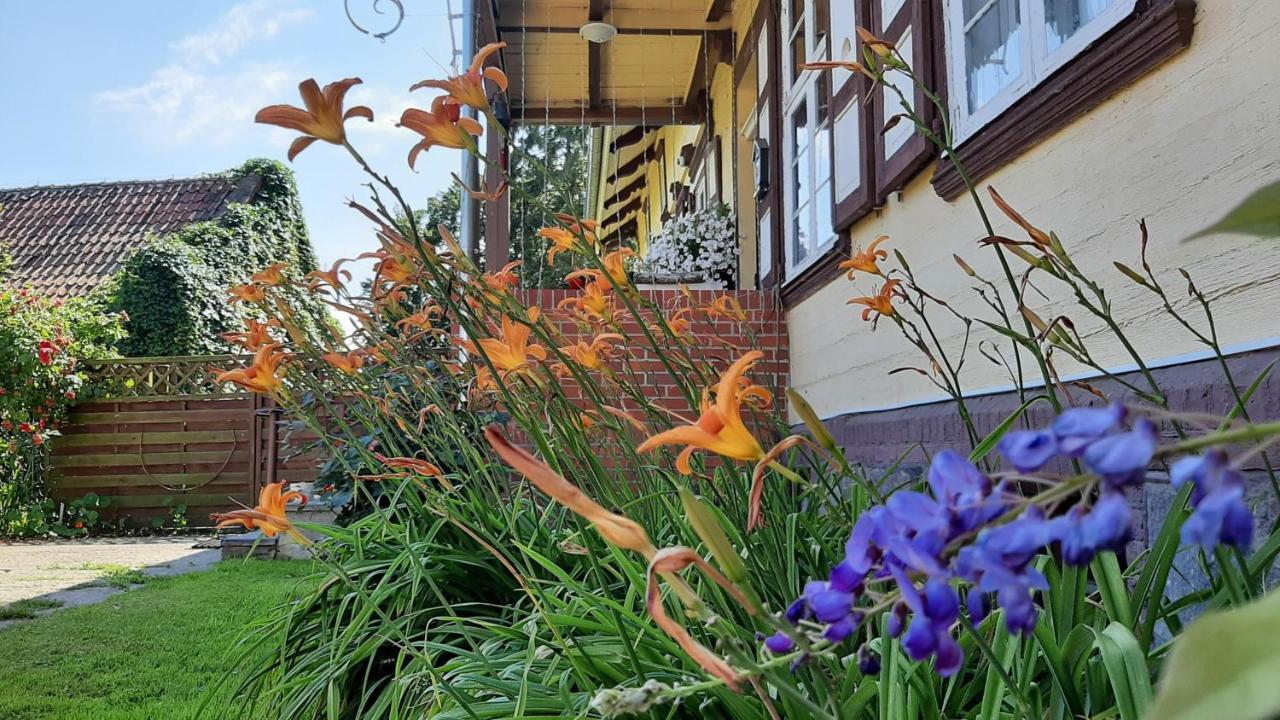 Orzechowy Dworek Nowy Dwór Gdański Bagian luar foto