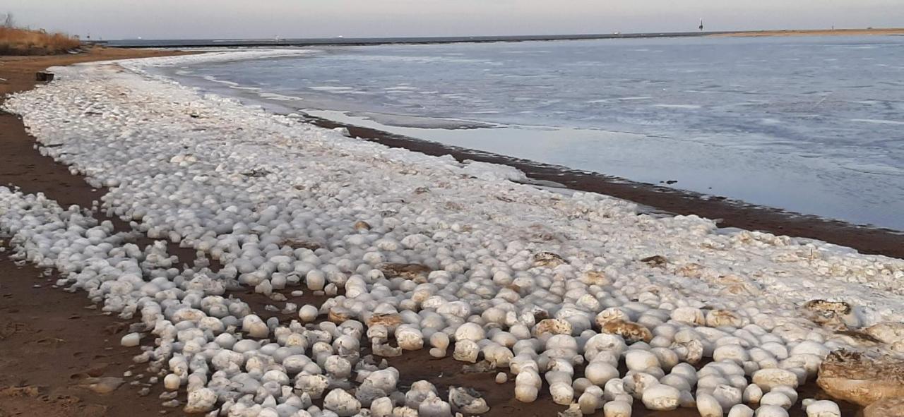 Orzechowy Dworek Nowy Dwór Gdański Bagian luar foto