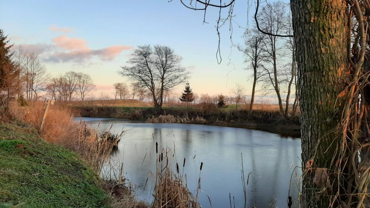 Orzechowy Dworek Nowy Dwór Gdański Bagian luar foto