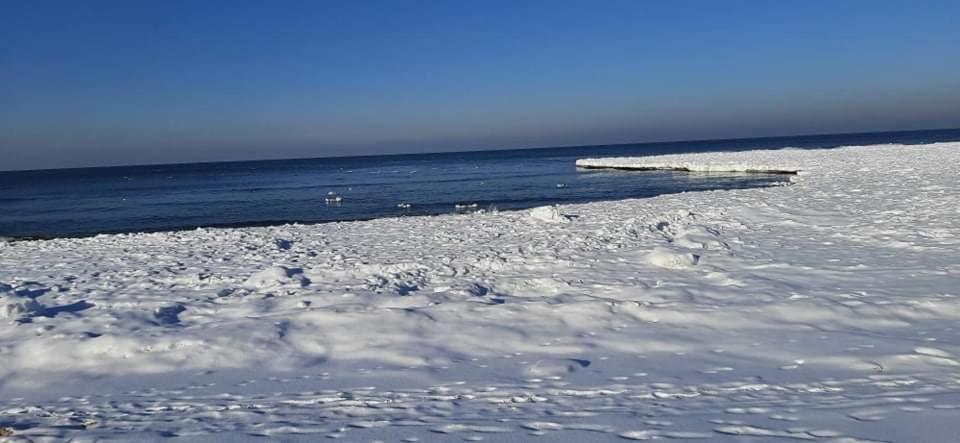 Orzechowy Dworek Nowy Dwór Gdański Bagian luar foto